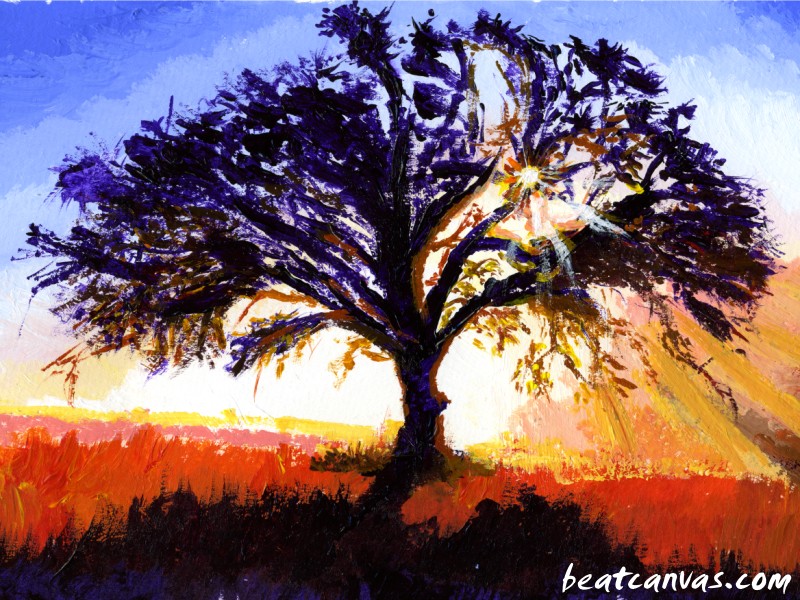Morning Tree. 1280 x 1024 Desktop Wallpaper