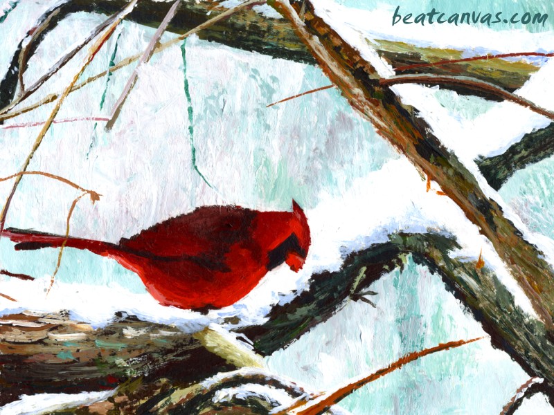 Winter Cardinal. 1280 x 1024 Desktop Wallpaper