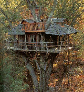 treehouse_01.jpg